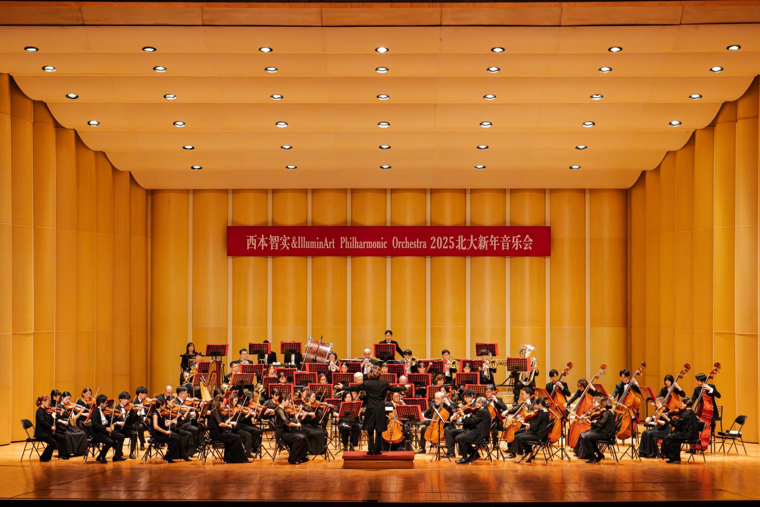 IMG_1244-已增强-NR_1.jpg