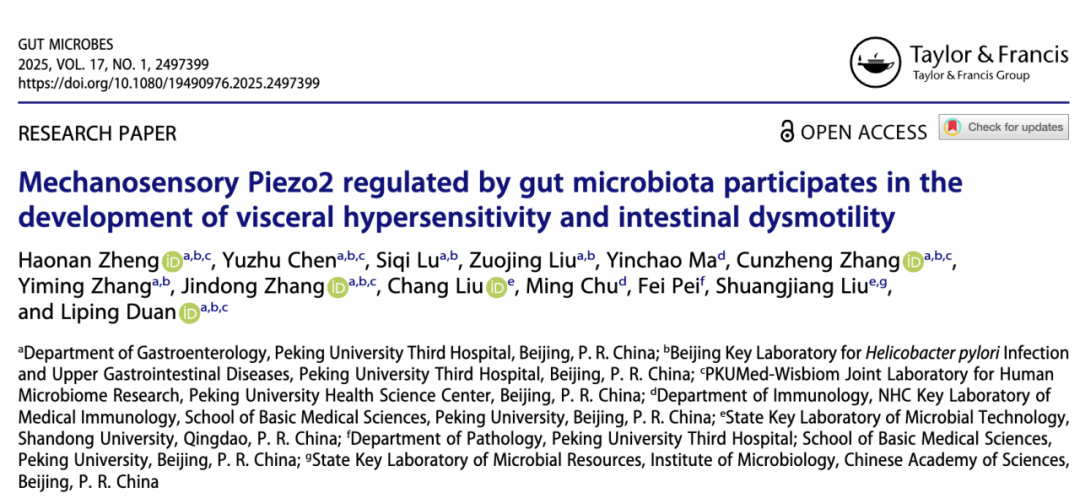 image1.png