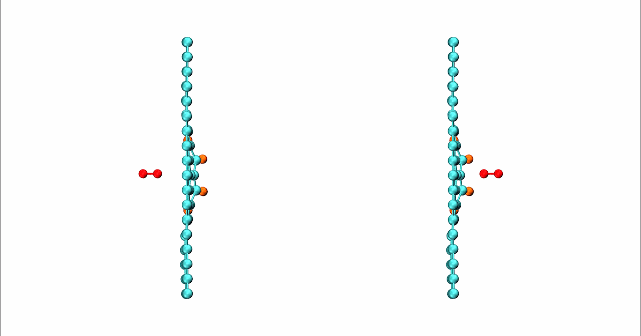 image7.gif