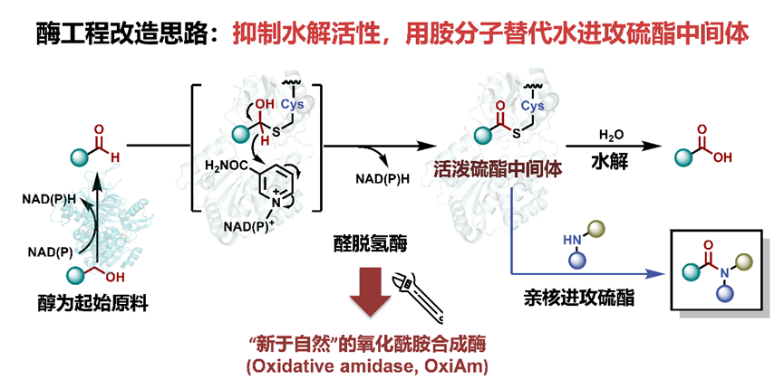 0a98ca00-bf12-4635-927e-5ab5dcea39c2.png