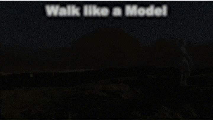 image13.gif