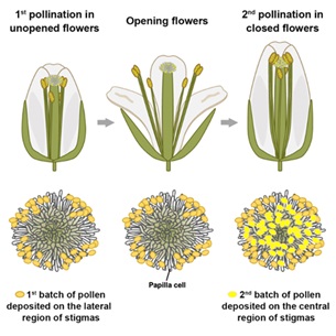 image1.jpg image1.jpg