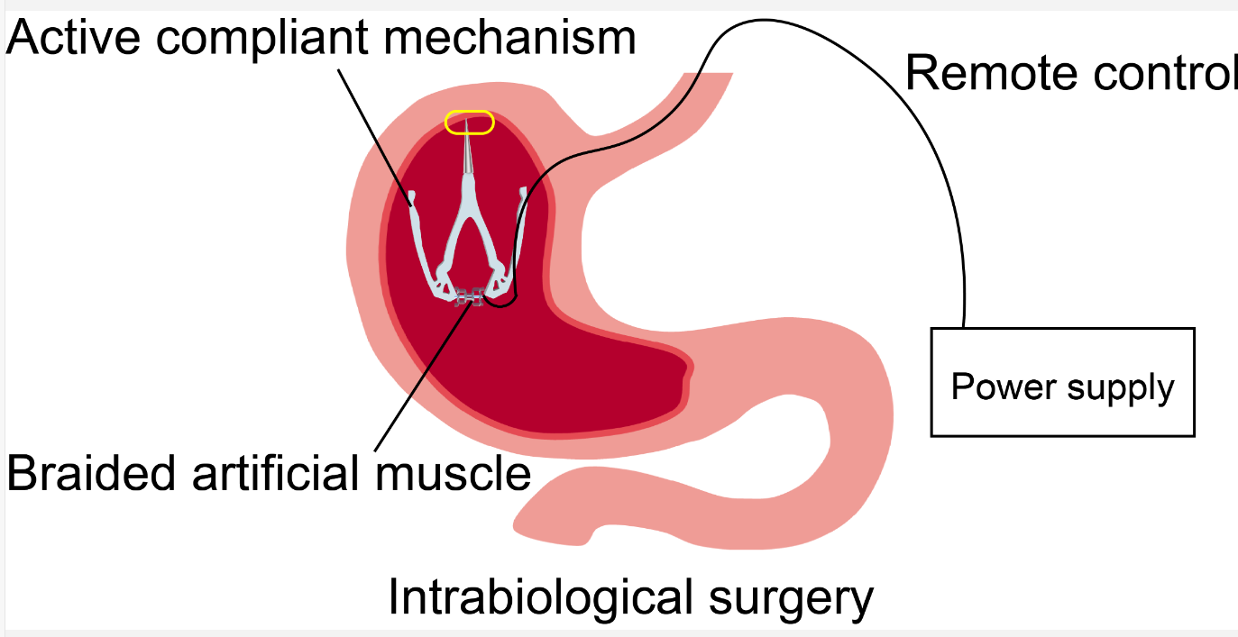 image2.png